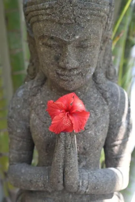 Yoga Villa Seminyak  Indonesia
